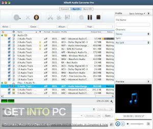 Xilisoft CD Ripper 2024 Full Offline Installer Free Download-GetintoPC.com.jpg 