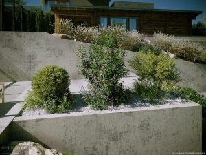 Maxtree-Plant-Models-Vol.85-CoronaV-Ray-3ds-max-Full-Offline-Installer-Free-Download-GetintoPC.com_.jpg